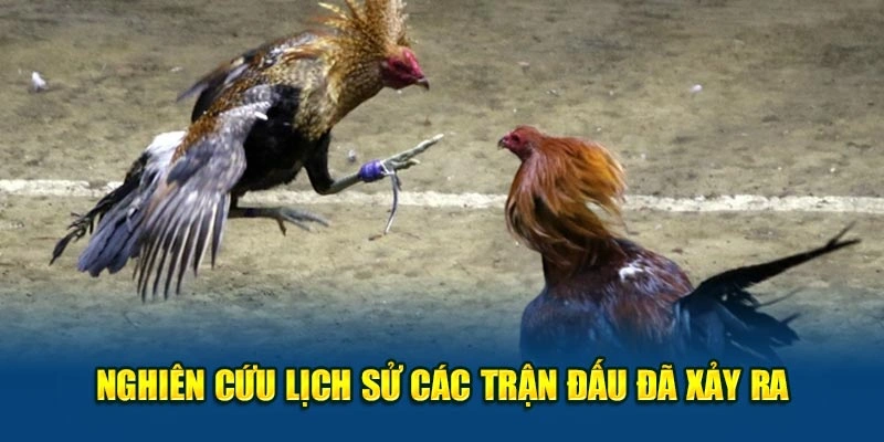 Nghiên cứu lịch sử các trận đấu đã xảy ra